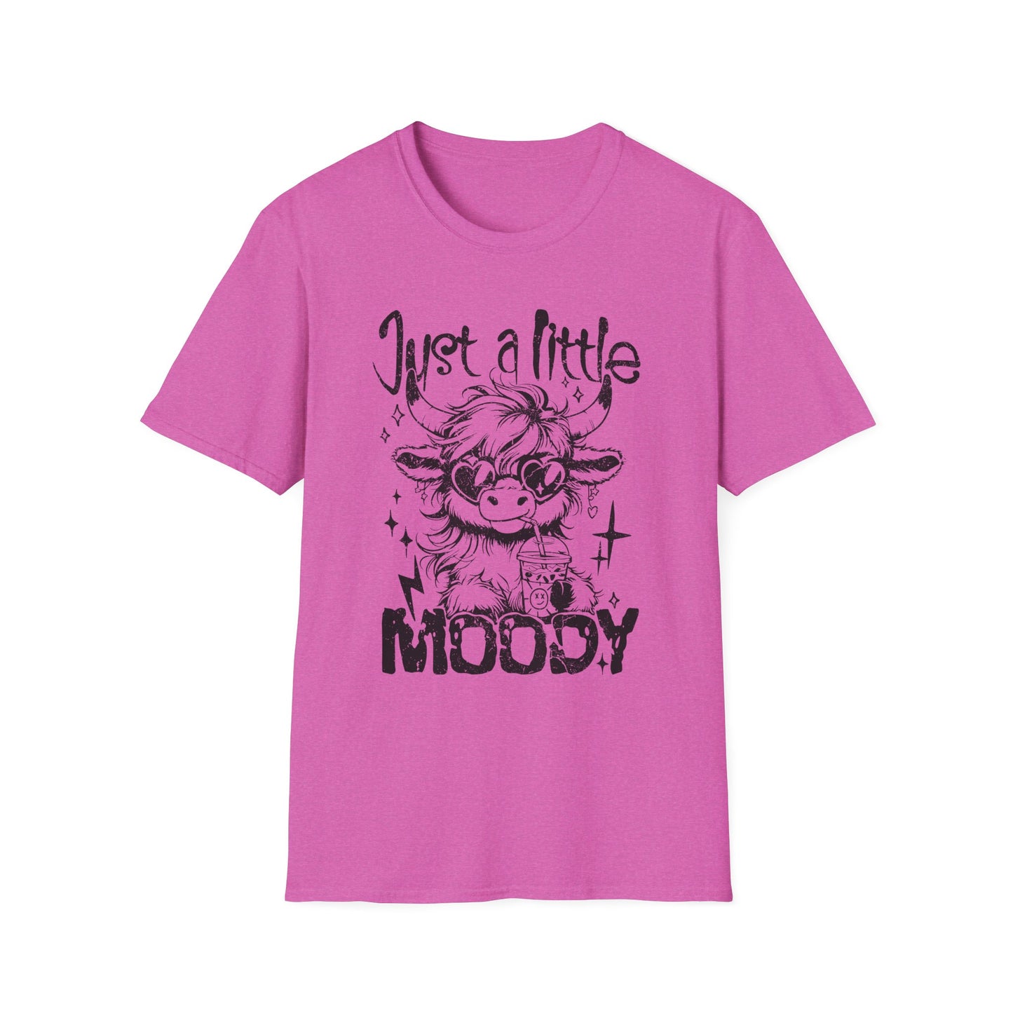 Just A Little Moody Adult Tee